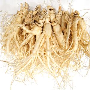 [GAP 인증 농부]6년근-5년근 햇수삼, 못난이 난발삼, 곧게 뻗은 가정용 정품삼, 파삼, 삼계탕용, 홍삼액달임(오쿠)용, 무료세척