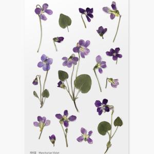 압화스티커 제비꽃 팬시 다꾸 폰꾸 꽃 스티커 책갈피 북마크 꾸미기 재료