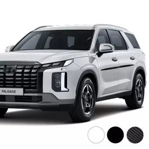 더뉴 팰리세이드 튜닝 문콕방지 도어가드 몰딩