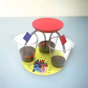 혈액 순환 모형 만들기 심장 원리 간이 펌프 구조 기능해