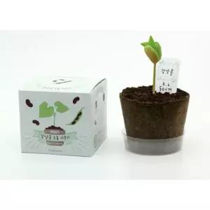 N 팜팜농장 강낭콩