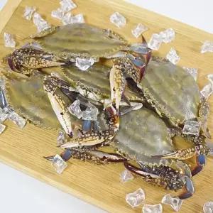 서해안 활 암꽃게 1kg