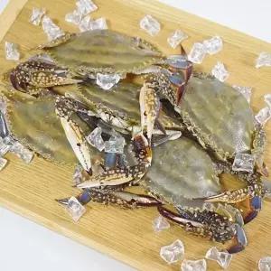 서해안 활 암꽃게 1kg23436362588515