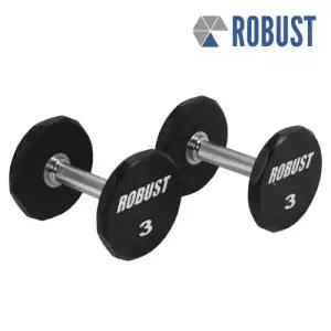 로버스트 아령3kg (2개) 헬스장 덤벨 우레탄 코팅 12각고정