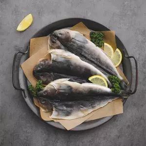 [롯데백화점]물맛남 국내산 반건조 손질 임연수 5미(400g내외)