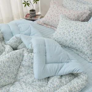 다올르블랑 먼지없는 마이크로 항균 옥수수솜 사계절 차렵이불 침구세트 SS/Q