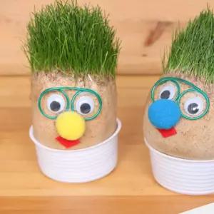 식물 키우기 귀여운 안경 잔디 인형/미니 다육이 다육이화분 미니화분 텃밭 다육 식물키우기 식물재배기 새