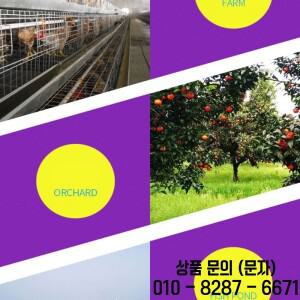 단계를 위한 UV 전구 자외선 검정 빛 220v/30w/40w 365nm 표준 조명