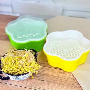 우리집 미니 가든 콩나물 키우기 시루+콩 200G/강낭콩/씨앗키우기/재배/세트/키트/강낭콩한살이키