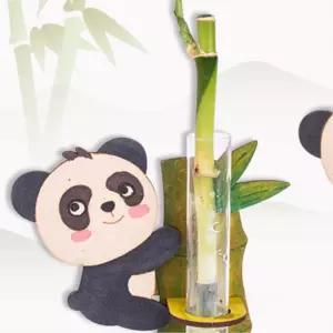 5인용 어린이 원예키트 개운죽키우기 판다 화분만들기 키트 간단한만들기 영유아