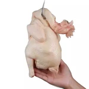 생닭 모형 가짜 중간 삼계탕 치킨 날개 전시 후라이드 요리 음식 윙 교육용 식당 장식