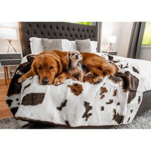 PUPPROTECTOR 개와 소파, 자동차 인조 오리지널(길이 침대, 담요, 차분한 X 50인치) 모피, 담요 위한 소가죽, 152.4CM 시트, 방수 반려동물 부드러운 127CM(60인치 브라운 가구용 너비 커버, 고양이를