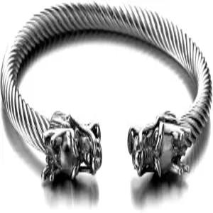 쿨스틸랜드 비욘드 탄력 조절 가능한 남성 드래곤 브레이슬릿 스틸 트위스트 케이블 뱅글 커프 광택 처리