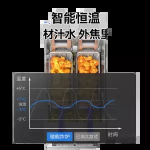 업소용 자동상하 전기 2구 튀김기 대용량 33L