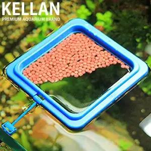 켈란 피딩트레이 사각 수족관 먹이급여 사료 구피 밥