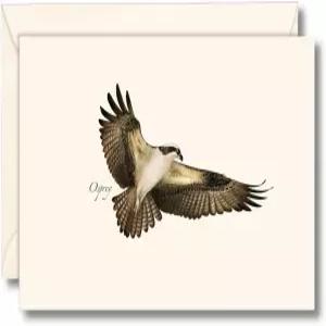 어스 스카이 + 워터 - 오스프리 노트 카드 세트 봉투가 있는 빈 8장