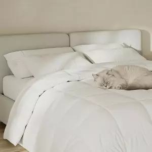 플리 통기 알레르기 파이 유발 노블 이불 보온 하얀 먼지 촉감 예방 가공 마이크 화이버