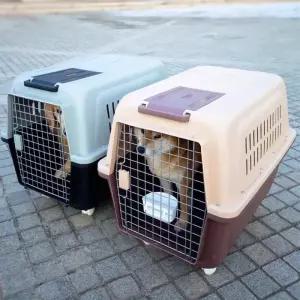 애견 켄넬 플라스틱 대형 대형견 하우스 이동장