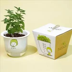 새싹 식물 재배 키트 심기 씨앗 키트 키우기 높은 정원 새싹 식물 재배