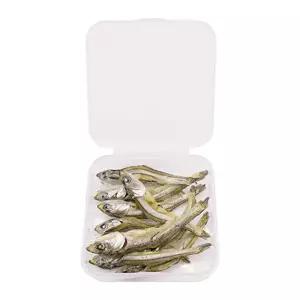 척추동물 골격구조 어류해부 관찰 마른멸치 10Px10세트/ 실험실 수업용 초등교구 실물