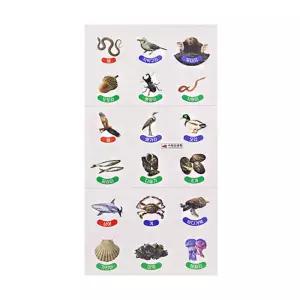 초등과학 자연속 먹이그물 이야기 학습용 생태계스티커 20개/ 곤충 엄마표미술놀이