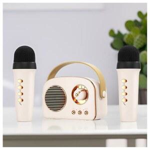 무선 마이크 2개가 있는 휴대용 태블릿과 블루투스 포트 사쿠라 성인 생일 호환 크리스마스 노래방 미니 AUX 휴대폰 디스크 스피커 기계 TF 파티 타입 핑크 지원