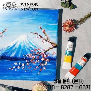 Winsor & Newton 미세 튜브 아크릴 페인트 드로잉 오거나이저 박스 파우더 안료 전문 아티스트 36 색 10ml