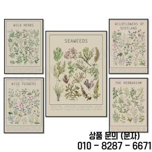 스코틀랜드 식물 표본 상자 및 야생화 잡초 포스터 예술 인포 그래픽