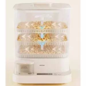 콩나물 기르기 자동콩나물제조기 실내 콩나물키우기