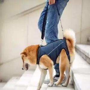 강아지 이동가방 산책 포대기 강아지산책가방 이동장 가방