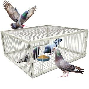 대형 조류를 위한 탈출방지 디자인 u2013 자동 조류 덫 | 여러 비둘기를 철 분말 코팅 녹슬지 않는 L 사이즈의 비둘기 케이지
