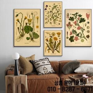 식물 꽃 연구 레트로 포스터 의료 인쇄 크래프트 종이 빈티지 홈 거실 미적 예술 벽화