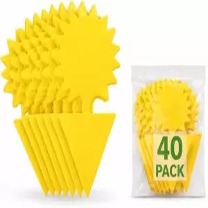 실내외 식물을 위한 40팩 노란색 끈적끈적한 과일 파리 트랩 ？ 태양형 곰팡이 냇 킬러 무독성 방수 양면