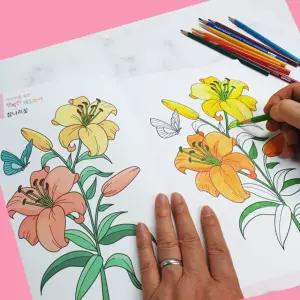 굿텔링협력사 어르신 치매예방 색칠공부 노인 취미 어른 성인 컬러링북 도안 그리기 색칠