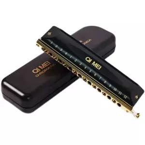 성인 하모니카 취미 블랙 호너 악기 입문용 패디 키 반음계 제품 음악교육 교육용 스완