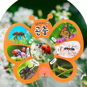 생태 학습 야외 관찰용 돋보기 곤충 관찰 부채 5set 호기심 어린이만들기