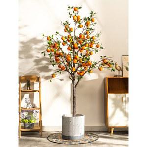 모조 식물인 분재 나무 바이오닉 호텔 쇼윈도 그린 오렌지 과수 조경 식물 실내