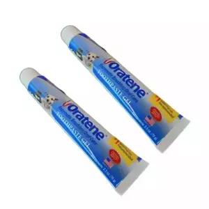 2개 오라틴 메인터넌스 투스페이스트 겔 치약 70g + 70g 총2개