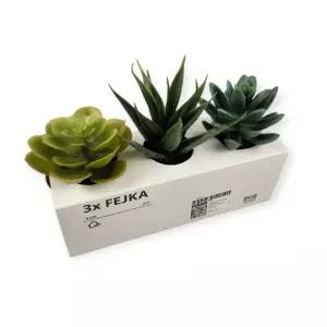 FEIKA 인테리어 다육 다육화분 미니이 화분 3개 세트