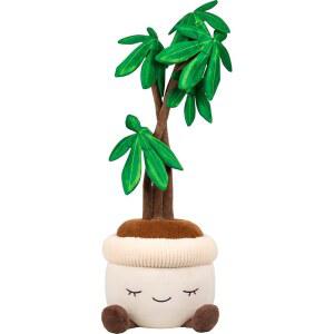 러스 온실 4피트 높이의 머니 트리 후리스 - 울트라소프트 공식 재즈웨어 3세+