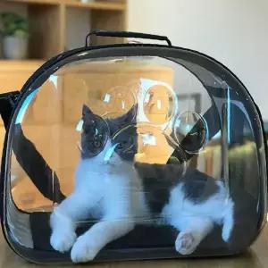 애견가방 대형 핑크 고양이케이지 강아지이동가방 강아지캐리어 대형고양이가방