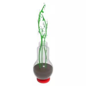 과학실험 식물재배 완두콩 한살이 새싹키우기 5인x2세트/ 놀이학습 초등교구 홈스쿨링