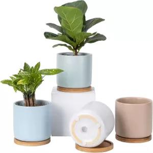오마이키 다육식물 화분 트레이 포함 4인치 세라믹 실내 꽃 선인장 허브 알로에용 배수구 및 메쉬 패드 -