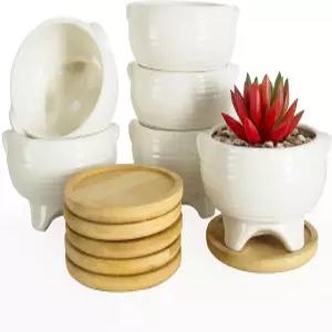 아르케티 다육 화분 - 배수 트레이 6개 세트가 있는 4인치 소형 실내 식물용 세라믹 흰색 선인장 꽃 용기