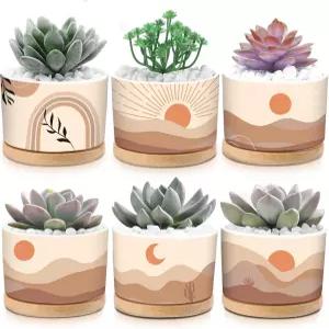 진영 6세트 보호 화분 다육질 모던 선 세라믹 꽃 실내 식물용 대나무 트레이 알로에 선인장 홈 오피스 장식