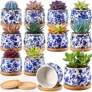 페로셰프 12개 3인치 세라믹 치누아지 다육식물 화분 청화백자 대나무 트레이 배수구 포함 선인장 허브 홈