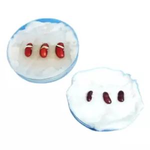 초등과학 식물수업 새싹심기 강낭콩한살이 4인x2세트/ 자연학습 교과연계 실험키트