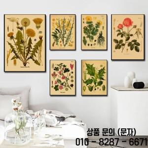 식물 꽃 포스터 약용 연구 크래프트 종이 인쇄 빈티지 홈 룸 미적 예술 벽화