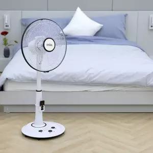 [eTVws]레이나 발터치 5엽 선풍기 RF-14PTR 리모컨형