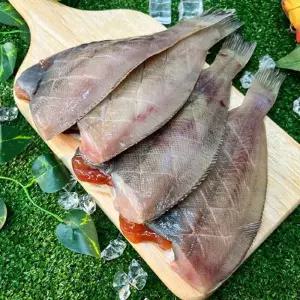 알가득 반건조 참 가자미 5미 750g 반건조 알가자미 반 건조 가자미 필렛 알배기 가자